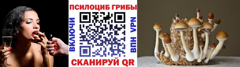 Псилоцибиновые грибы мицелий  купить закладку  Дзержинск 